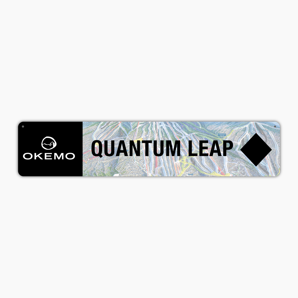 Okemo Quantum Leap Trail Sign