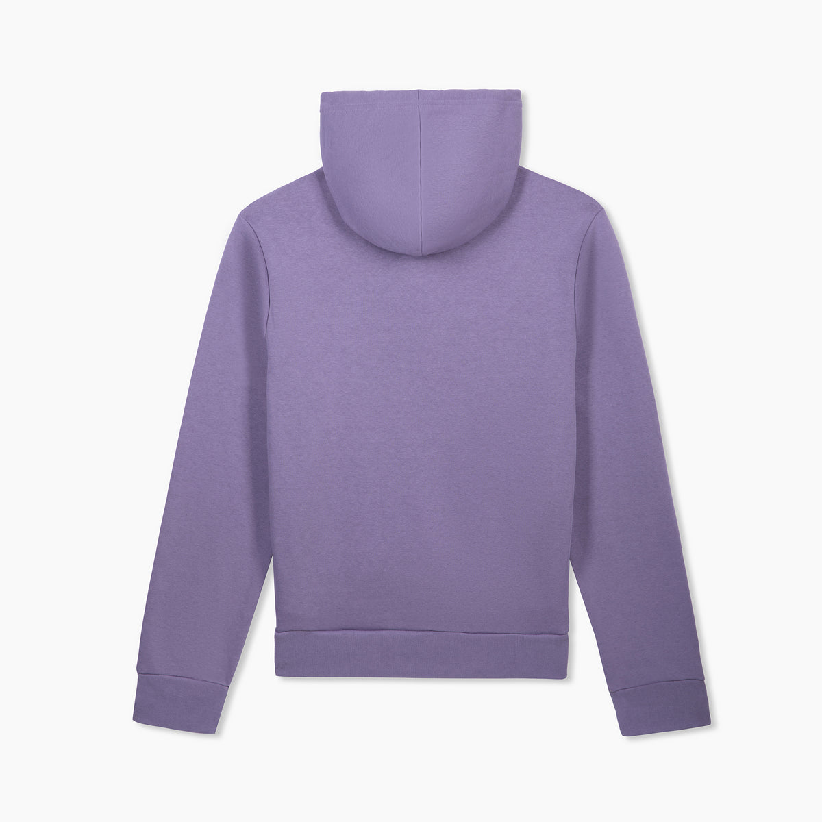 The North Face Breckenridge Ladies Evolution Half Dome Hoodie