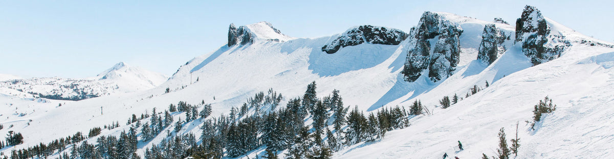 [OUTDATED] Kirkwood Collection test