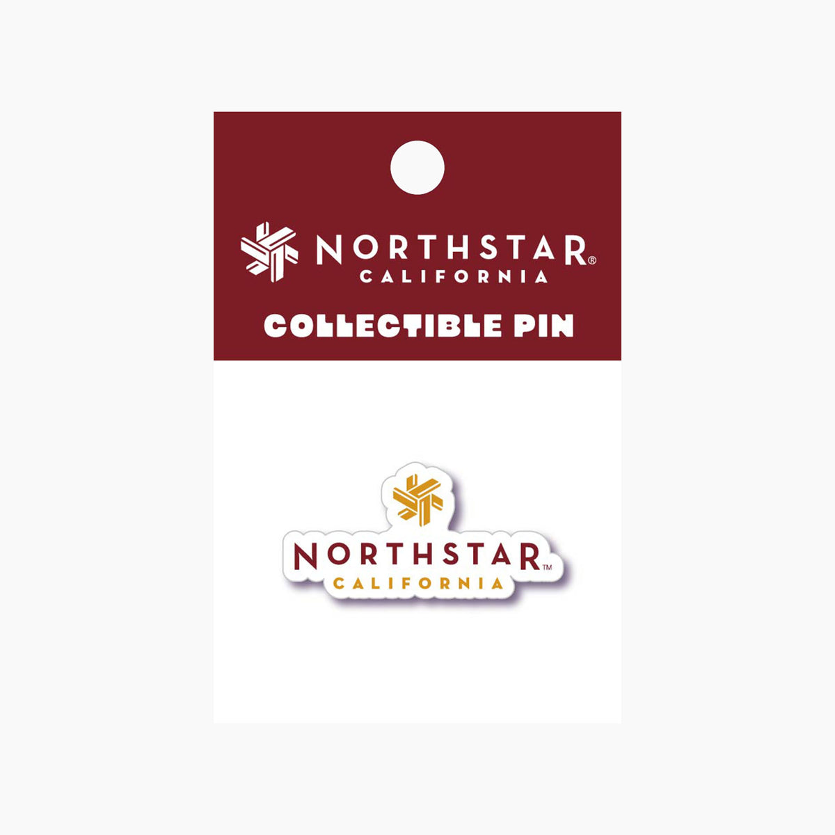 Northstar Logo Pin