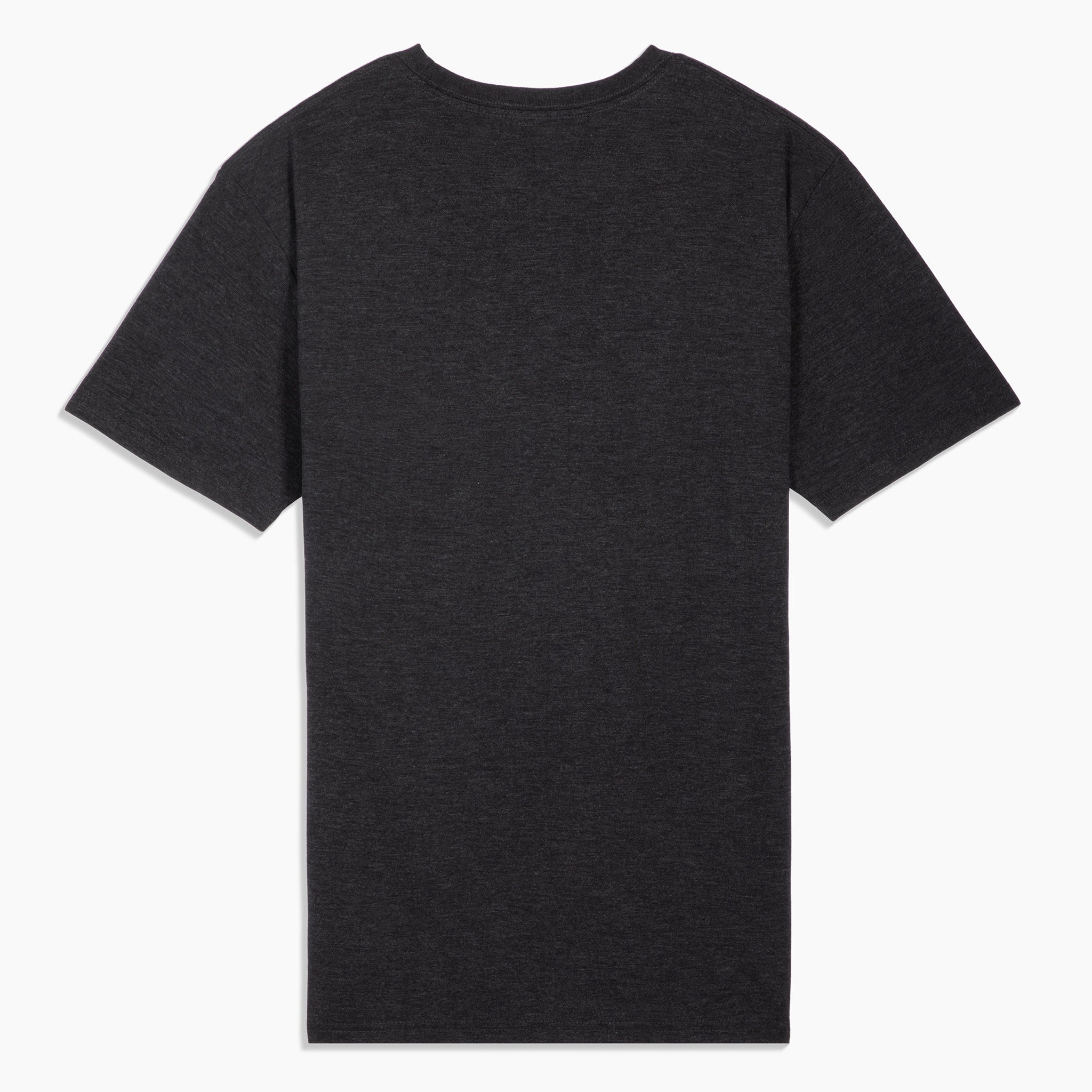 Whistler Blackcomb Blocking T-shirt